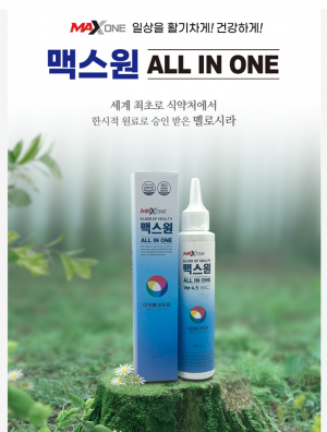 맥스원 ALL IN ONE(멜로시라)