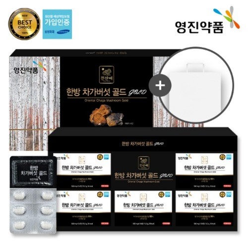 [영진약품] 한방 차가버섯 골드 (550mg x 120정) (쇼핑백 포함)