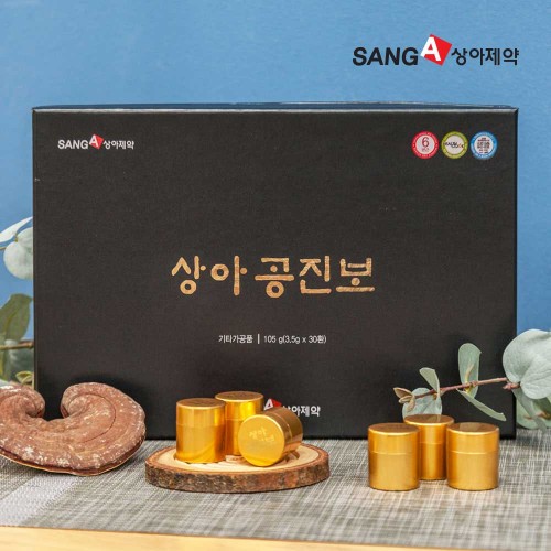 상아제약 공진보 30환 3.5g X 30환 (105g) 전용 쇼핑백