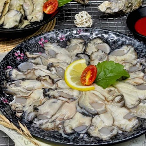 바다담은 햇 생굴 1kg