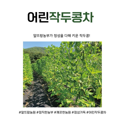 어린 작두콩차 200g