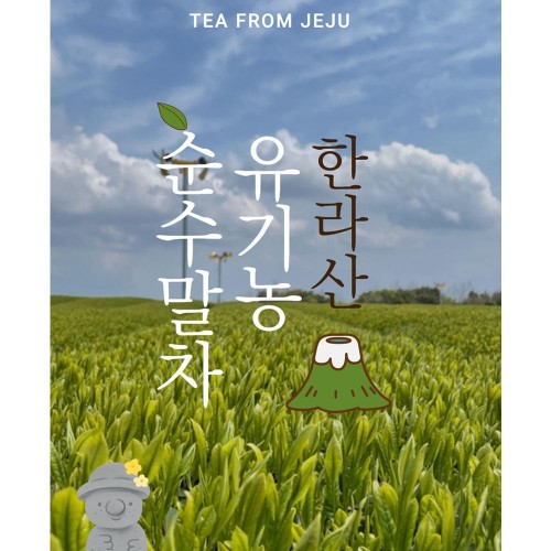 제주 유기농 말차 1팩