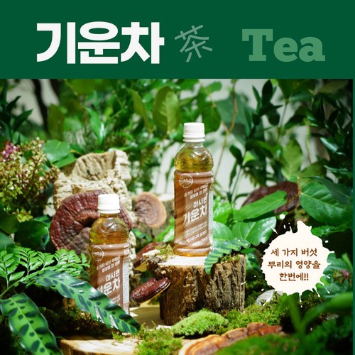 기운찬 차가  상황  영지버섯의 효능을 담은 건강음료 마시면 기운차 340ml*20병 기운찬버섯GMK