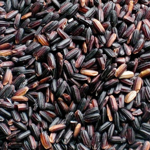 24년산 국산 흑미 1kg 2봉(특품)