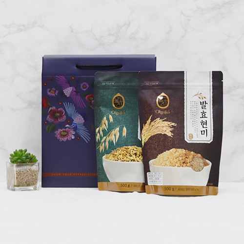 [NST바이오] 발효잡곡 2종_1 000g(500g×2입)