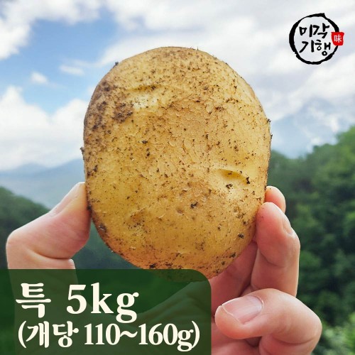미각기행 2025년 강원도 햇 두백감자 특 5kg / 1kg기준 개당 110-160g