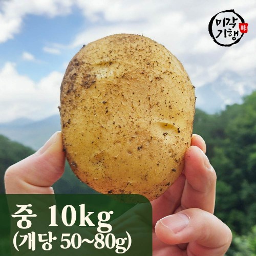 미각기행 2025년 강원도 햇 두백감자 중 10kg / 1kg기준 개당 50-80g