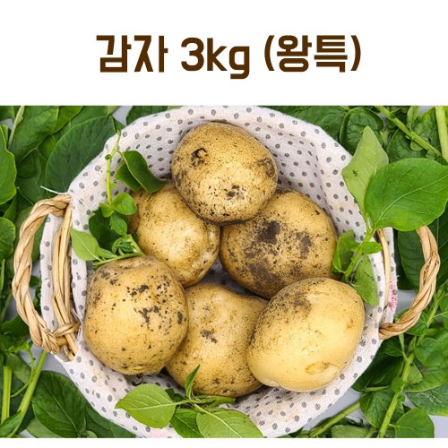 25년산 감자 3kg(왕특)