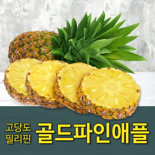 [수입과일] 풍부한 과즙과 은은한 향이 매력적인 필리핀산 파인애플 10과 12kg