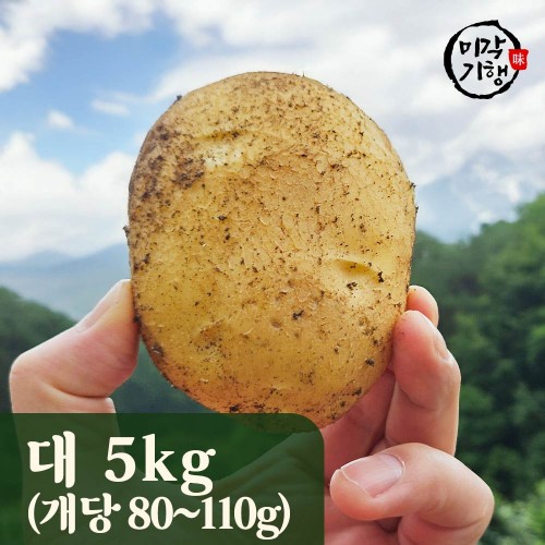 미각기행 2025년 강원도 햇 두백감자 대 5kg / 1kg기준 개당 80-110g