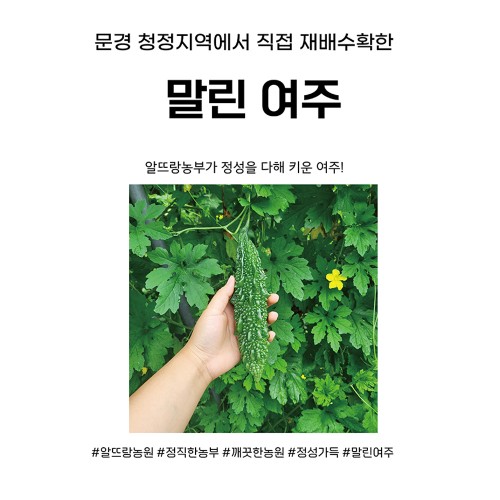 말린 여주