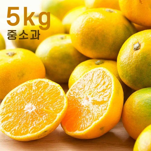 제주하우스 하우스 감귤 5kg 중소과 (2S/S/M)
