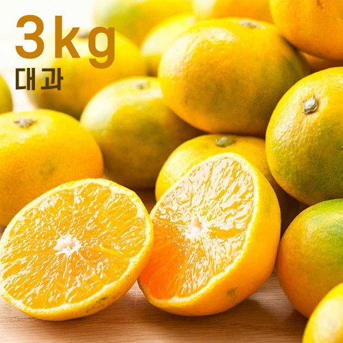 제주하우스 하우스 감귤 3kg 대과 (L/2L)
