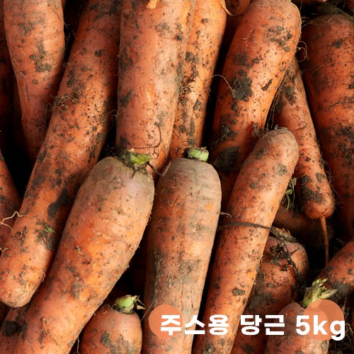 [형원농장] 달달하고 아삭한 경남 주스용 당근 5kg