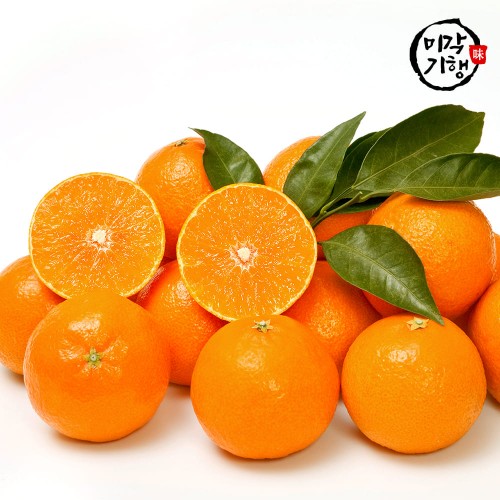 미각기행 제주 하우스 감귤 중대 1kg(7~9과)