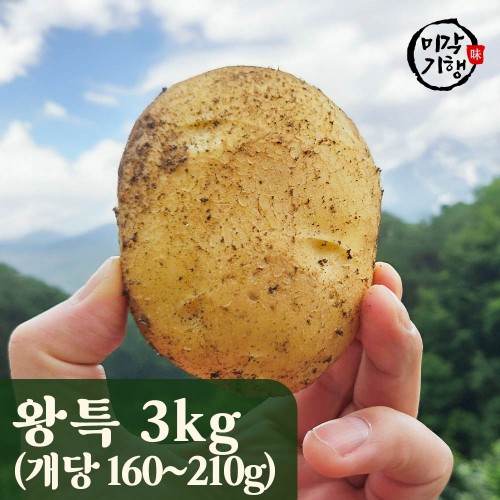 미각기행 2025년 강원도 햇 두백감자 왕특 3kg / 1kg기준 개당 160-210g
