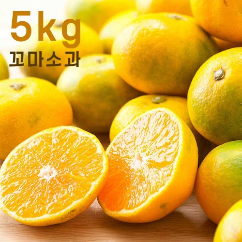 제주하우스 하우스 감귤 5kg 꼬마소과