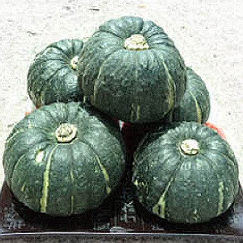 미니밤호박 2kg