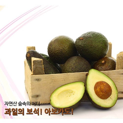 [수입과일] 비타민과 미네랄이 많은 건강과일 아보카도 10개(개당 170g-180g 내외)