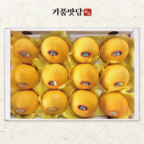 [기품맛담] 제주 황금향 선물세트 1호 (9-13입/특대과 3kg)