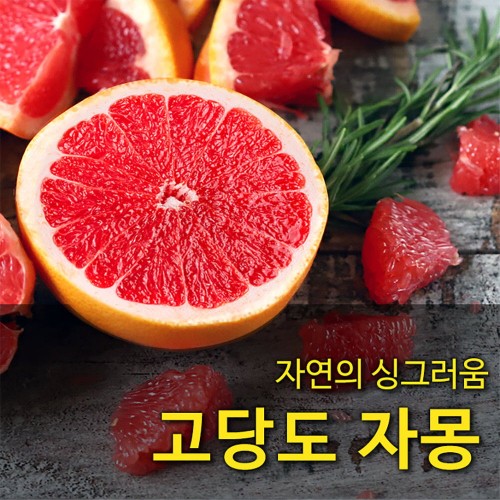 [수입과일] 자연의 싱그러움 고당도 자몽 45과 14kg