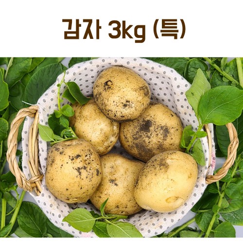 25년산 감자 3kg(특)