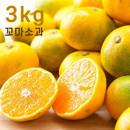 제주하우스 하우스 감귤 3kg 꼬마소과