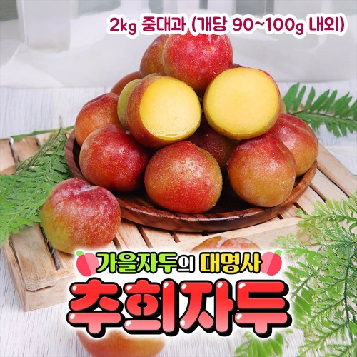 [제철과일] 옥황 추희자두 2kg 중대과 (개당 90~100g 내외)