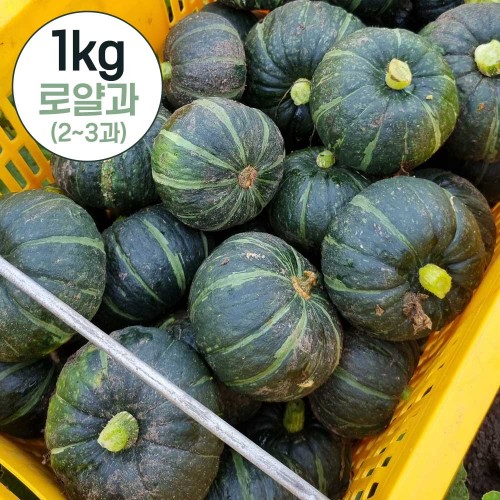제주직송 미니 밤호박 로얄과 (과당 250~500g) 1kg (2~4과)