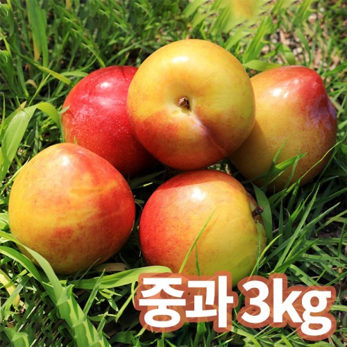 청년농가 특품 후무사자두 중과 3kg (90g이상)