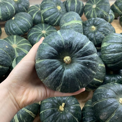 미니밤호박 4kg