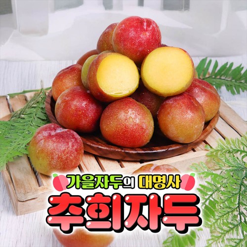 [제철과일] (작아요) 옥황 추희자두 2kg 소과 (개당 50~60g 내외)
