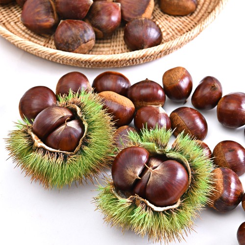 공주 알밤 1kg (대)