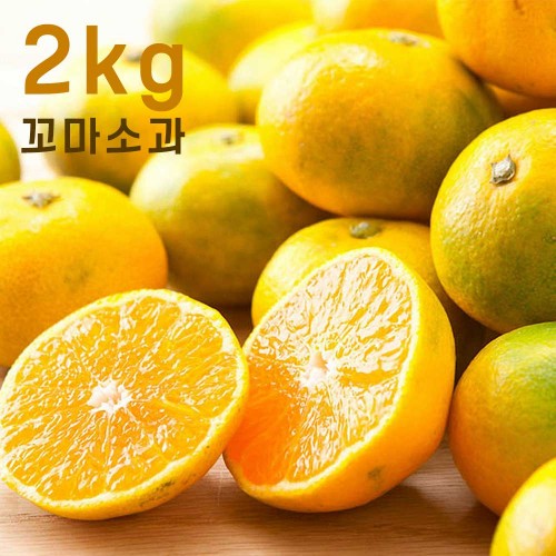 제주하우스 하우스 감귤 2kg 꼬마소과