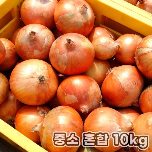 산지직송 밀양 햇양파 중소 혼합 10kg