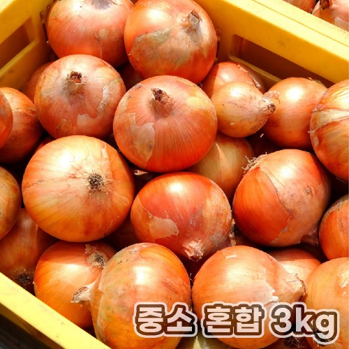 산지직송 밀양 햇양파 중소 혼합 3kg
