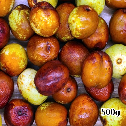 달콤아삭 햇 사과대추생과 500g (왕특~대)