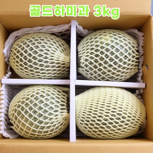 골드하미과 3kg (2-5과)