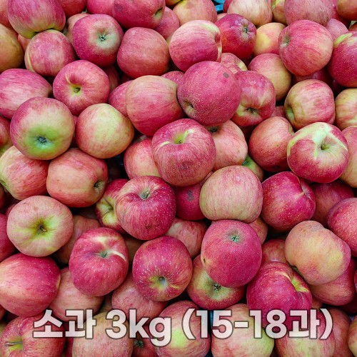 경북 가정용 홍로사과 소과 3kg (15-18과)
