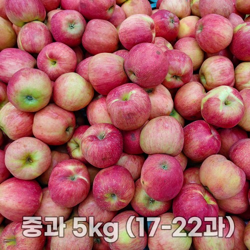 경북 가정용 홍로사과 중과 5kg (17-22과)