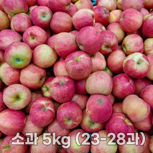 경북 가정용 홍로사과 소과 5kg (23-28과)