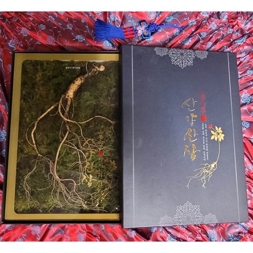수로산삼 산양산삼 17년근 정삼 (무농약 합격증) 1뿌리/고급포장