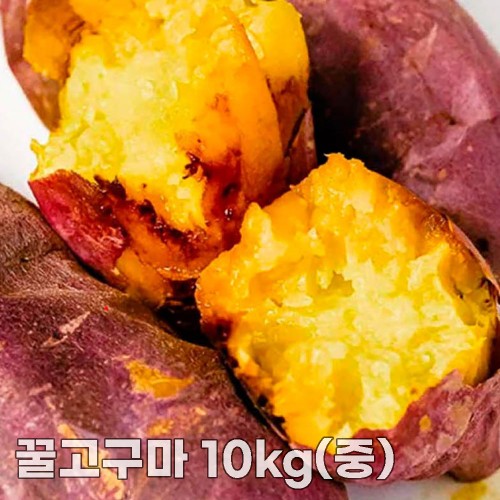 25년산 세척 꿀고구마 10kg(중)
