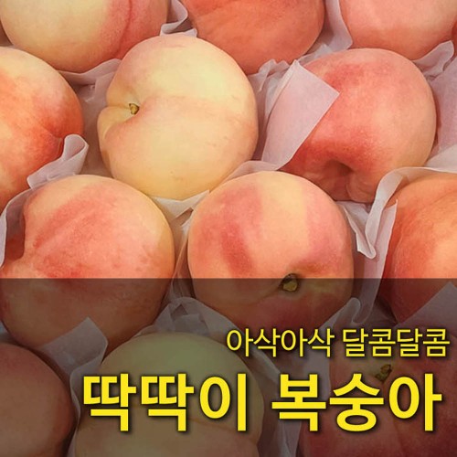 [국산과일] 딱딱한데 달다! 여름별미 딱딱이 복숭아 4kg 15-18 중