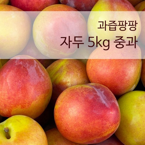 [국산과일] 입 안 가득 과즙팡팡 자두 5kg 중과