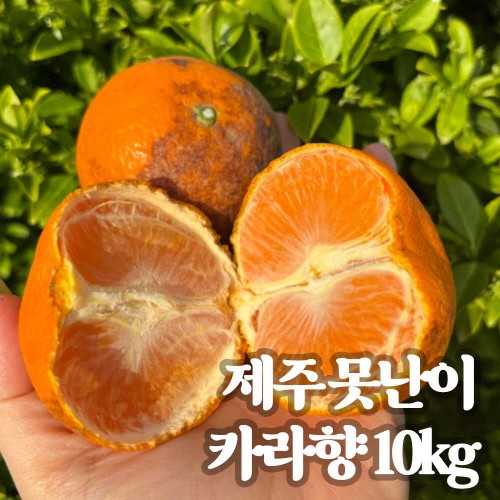 못난이 카라향 10kg