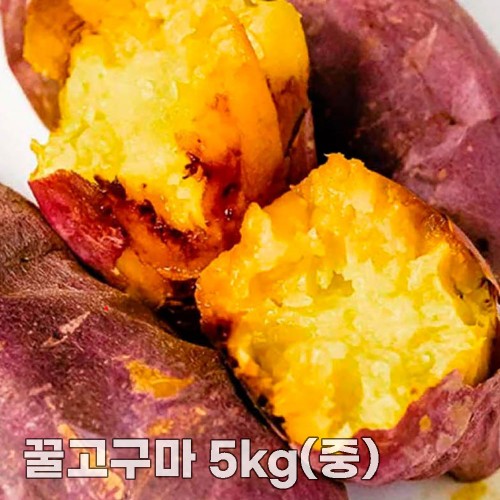 25년산 세척 꿀고구마 5kg(중)