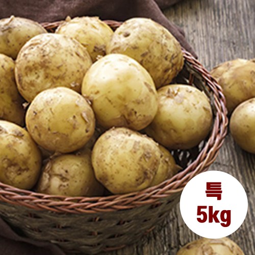 수미감자 특 5kg (130~180g 내외)