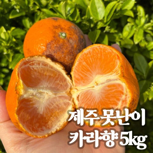 못난이 카라향 5kg