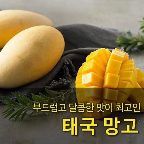 [수입과일] 부드럽고 달콤한 맛이 최고인 태국 망고 2kg 4-7과